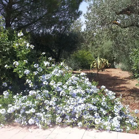 Degli Ulivi * Canicattì