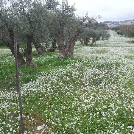 Degli Ulivi 别墅 Canicattì