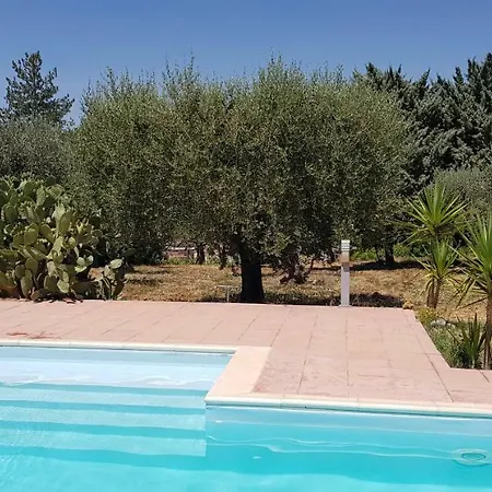 Degli Ulivi *