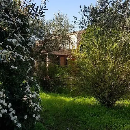 Degli Ulivi Canicattì