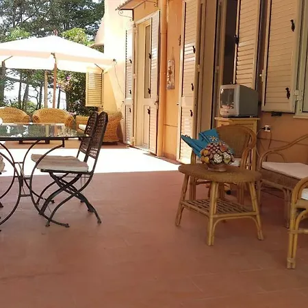 Degli Ulivi *