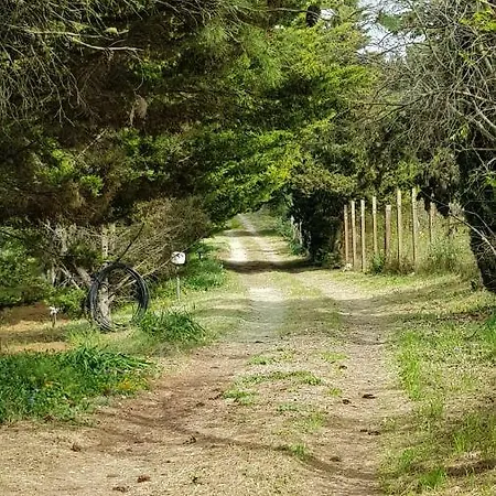 别墅 Degli Ulivi