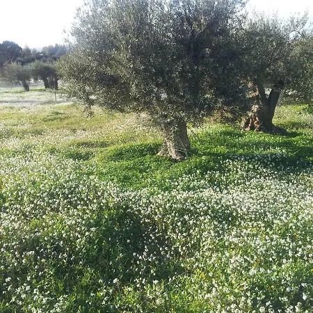 Degli Ulivi Canicattì