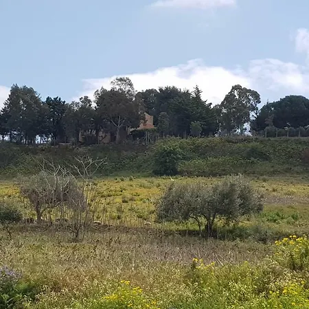 别墅 Degli Ulivi *