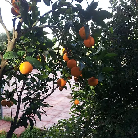 别墅 Degli Ulivi Canicattì