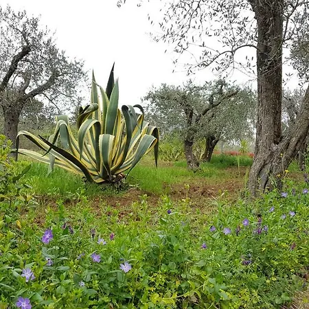 Degli Ulivi 别墅 Canicattì