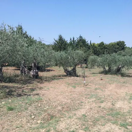 Degli Ulivi 别墅 Canicattì
