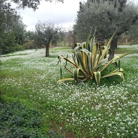 Degli Ulivi 别墅