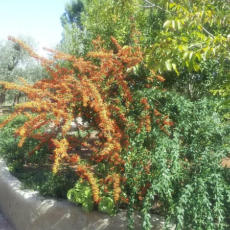 Degli Ulivi 别墅