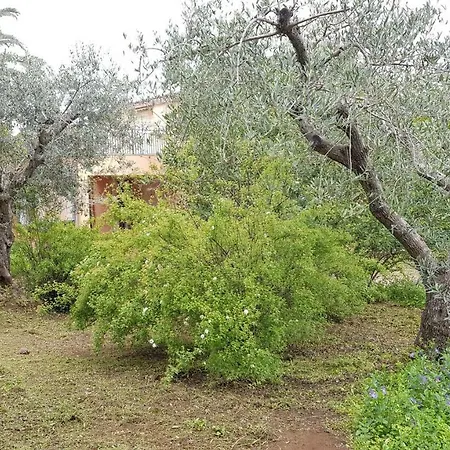 Degli Ulivi 别墅
