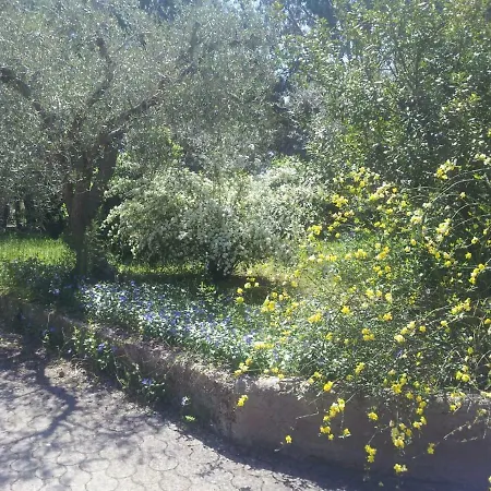 Degli Ulivi 别墅 Canicattì