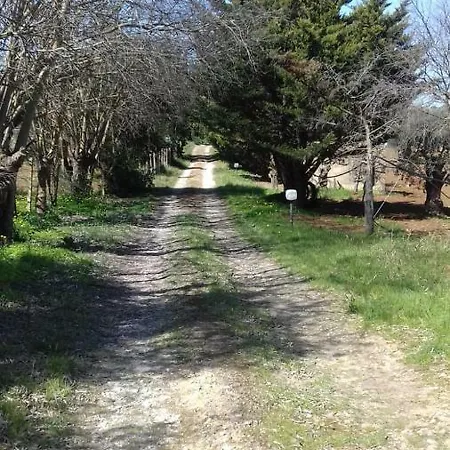 Degli Ulivi 别墅