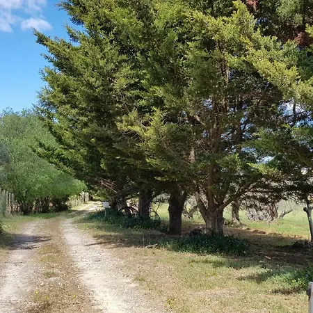 别墅 Degli Ulivi Canicattì